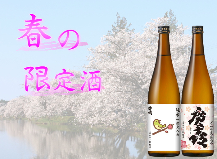 春限定BIGバナー2024